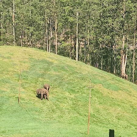 Munnar Village Homes Eksteriør billede