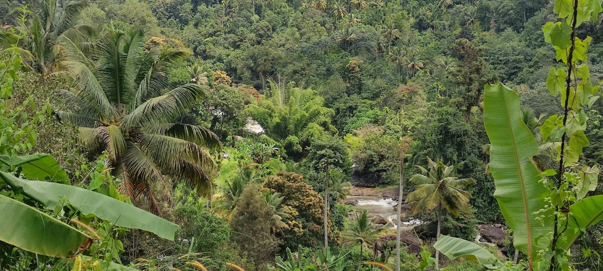 Munnar Village Homes Eksteriør billede