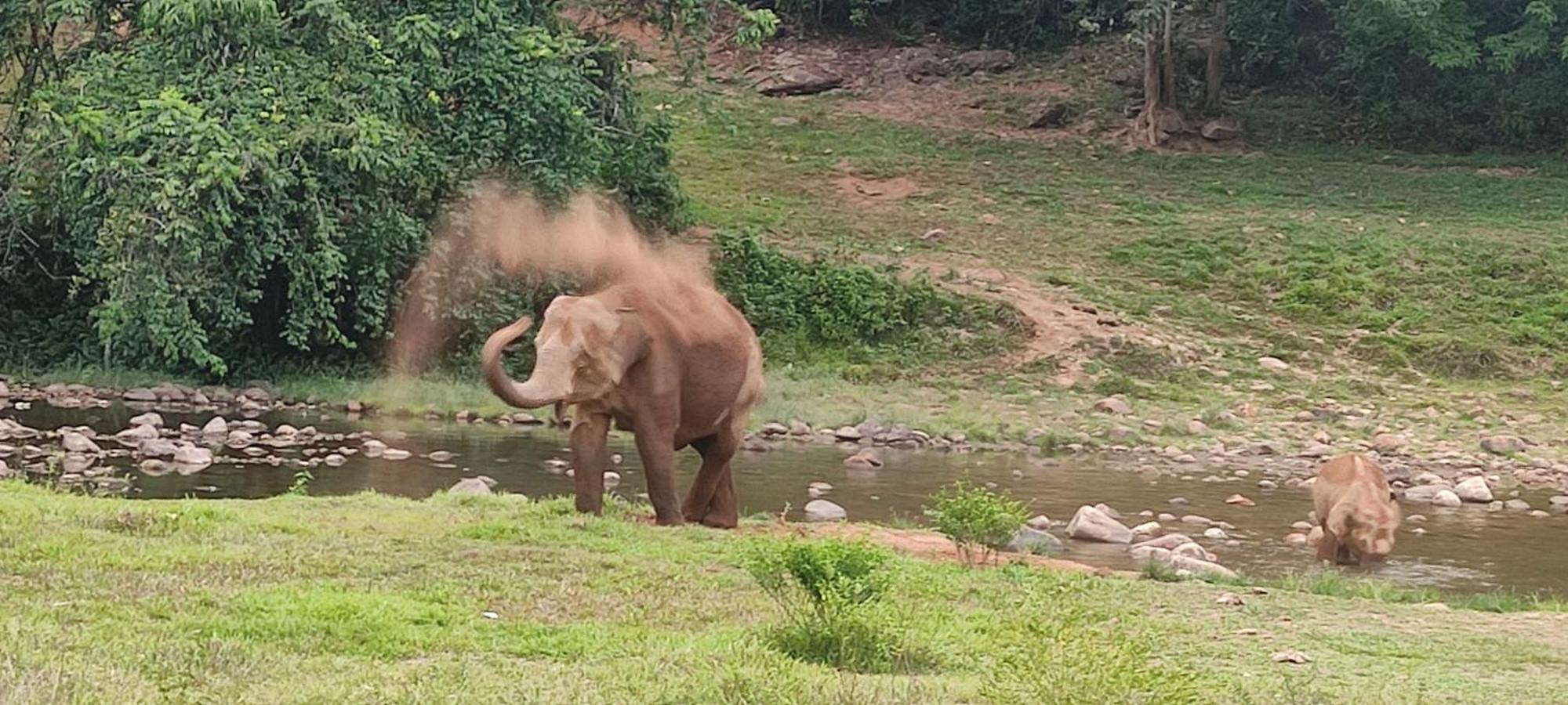 Munnar Village Homes Eksteriør billede