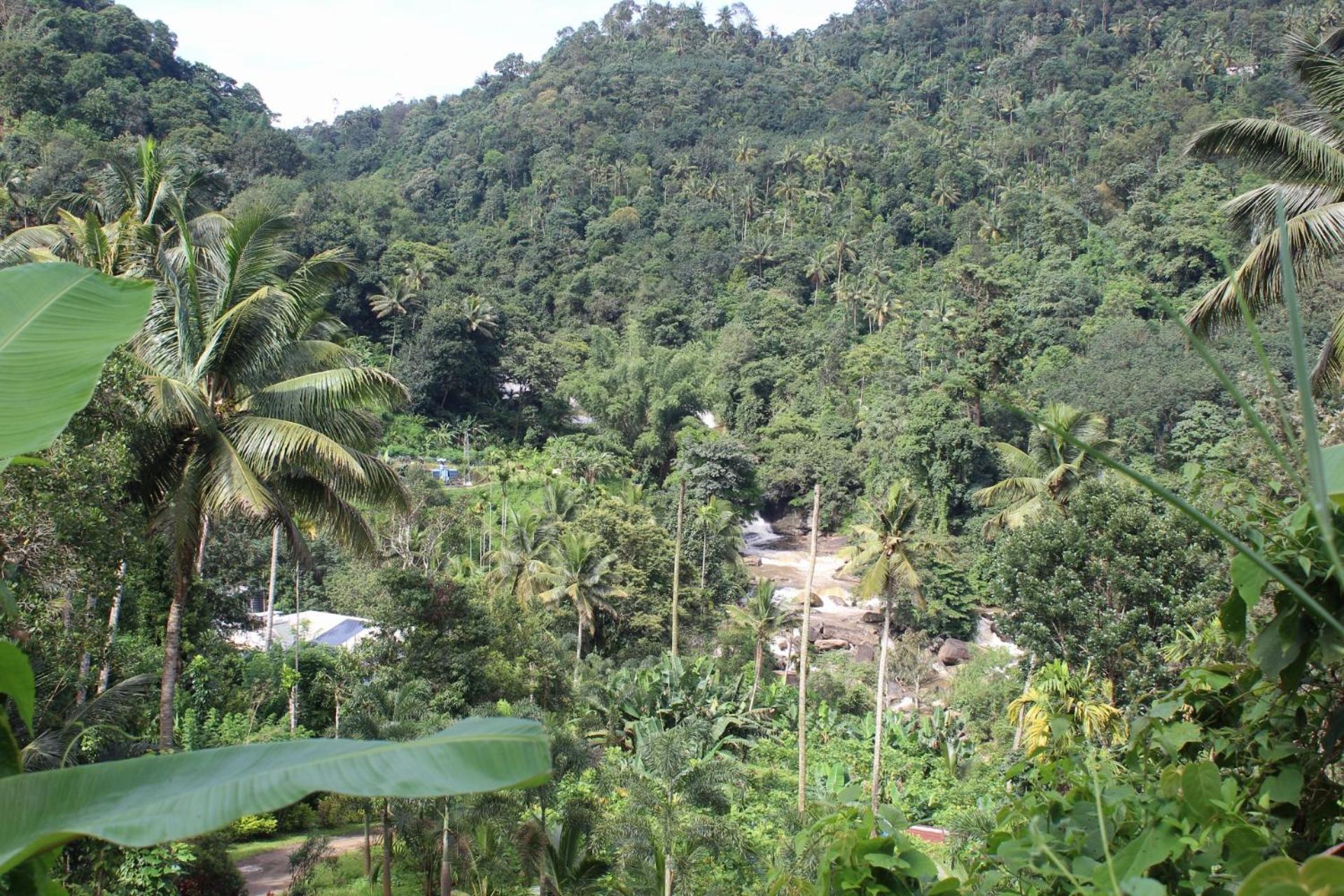 Munnar Village Homes Eksteriør billede